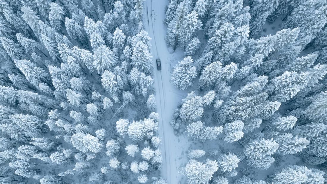 "Car driving through a snowy forest of pine trees, highlighting the importance of winter car care. Protect your vehicle this season with Premier Detailing in West Plains, MO."