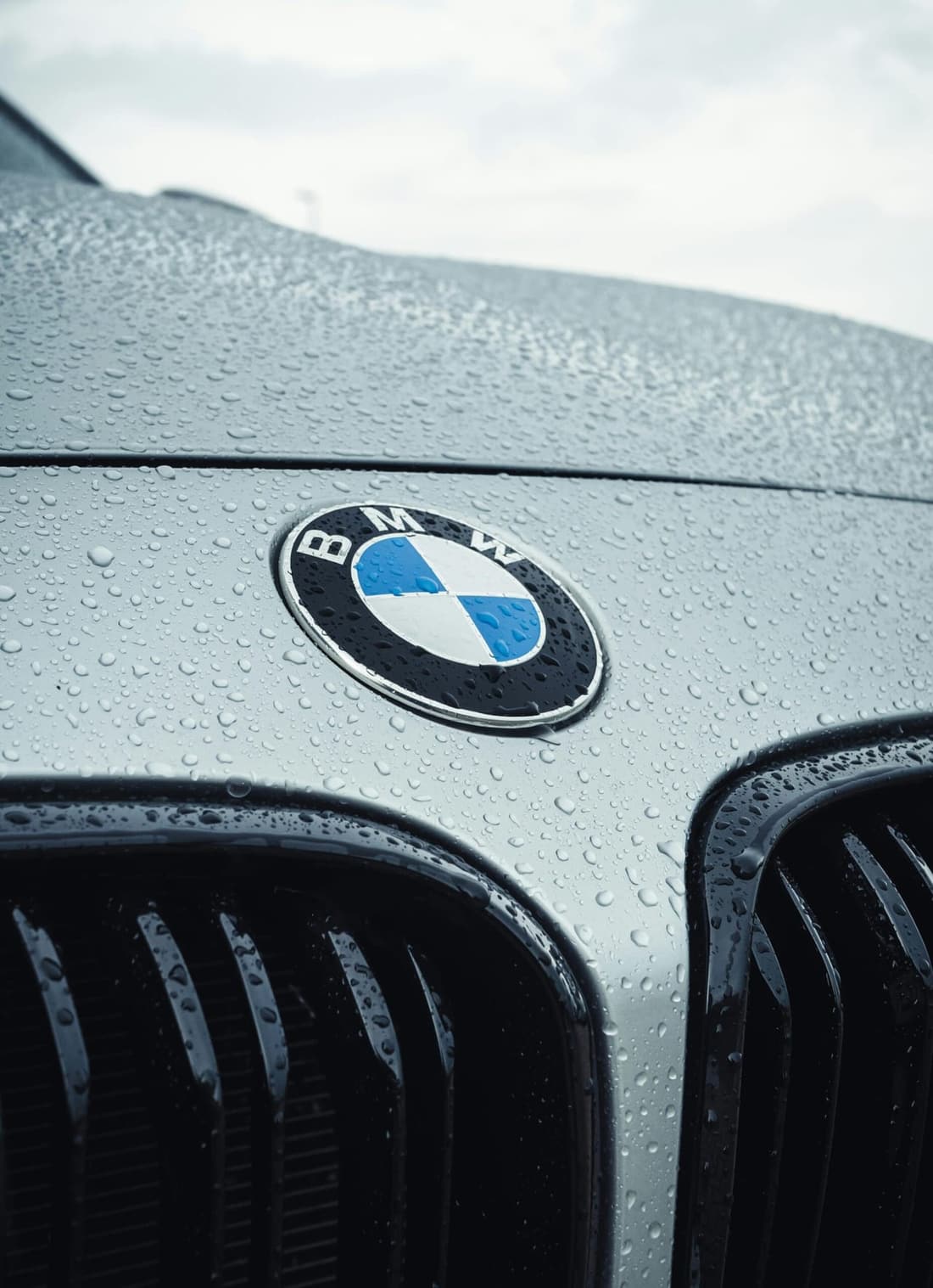 Close-up of a freshly detailed BMW hood and grille with water beading on the surface, showing premium car detailing results by Premier Detailing in West Plains, MO.