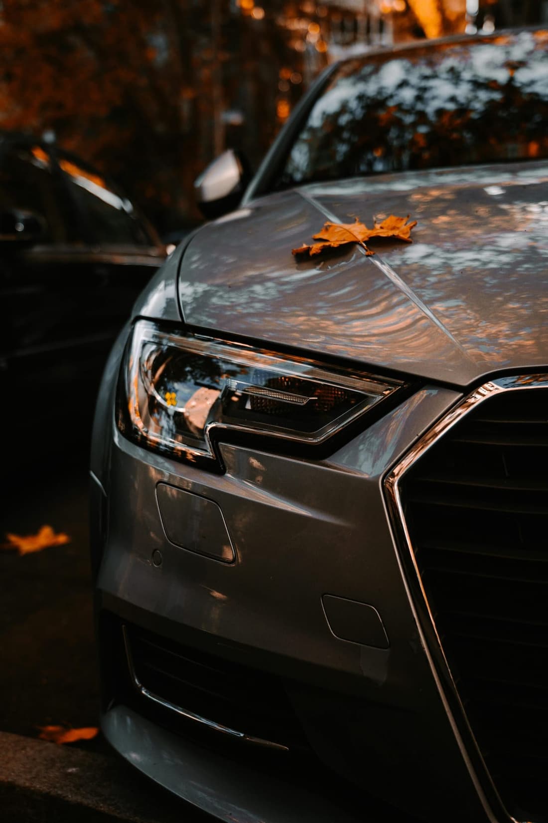 Silver car with autumn leaves on the hood, representing fall car prep for winter detailing in West Plains MO by Premier Detailing