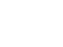 Premier Detailing logo